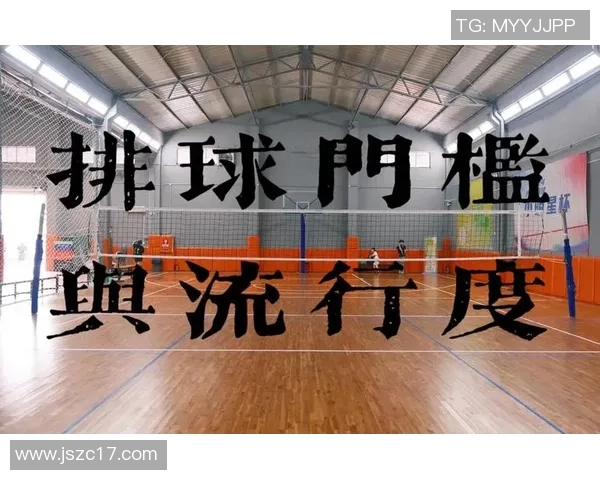 排球新手攻略:耐力入门指南 排球新手攻略:耐力入门指南