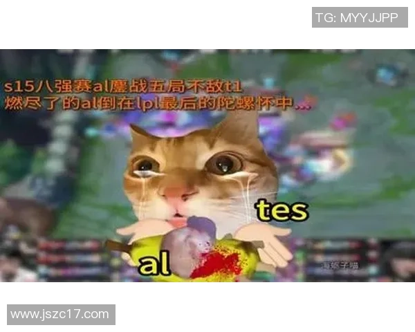 英雄联盟纪实:记录TES的突破历程 英雄联盟纪实:记录TES的突破历程